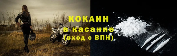 прущие крисы Магадан