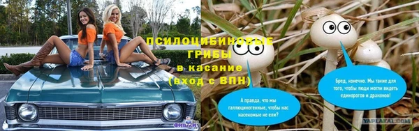 прущие крисы Магадан