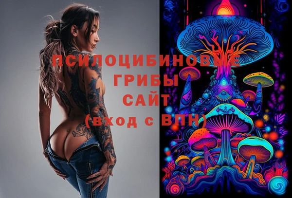 прущие крисы Магадан